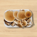 Funghi Pioppini