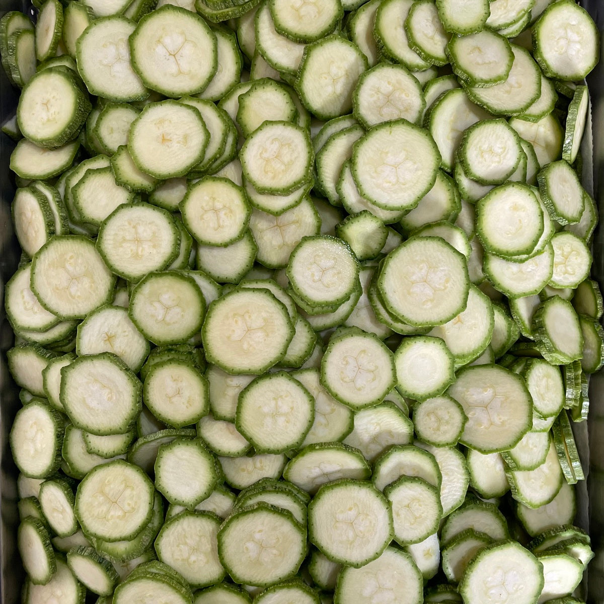 Zucchine a Rondelle
